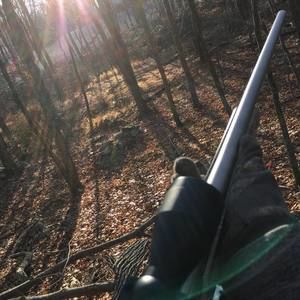 Meet your Posher, Haidyn